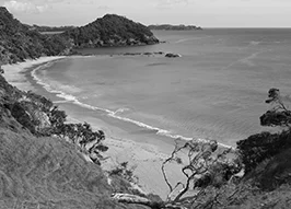 Zest Insurance Brokers Whangarei